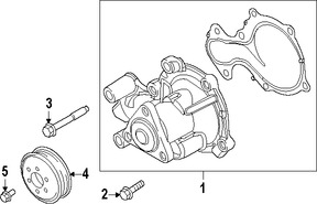 Foto de Polea de la bomba de agua del motor Original para Ford Focus Ford Fiesta Marca FORD Nmero de Parte CM5Z8509A