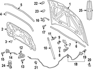 Foto de Aislamiento del capo Original para Lincoln MKS 2013 2014 2015 2016 Marca FORD Nmero de Parte DA5Z16738A