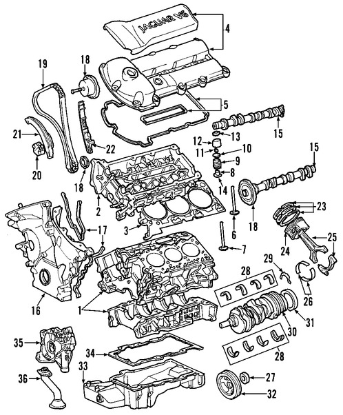 Foto de Engranaje del Cigueal Original para Jaguar S-Type 2000 Marca JAGUAR Nmero de Parte C2S13160