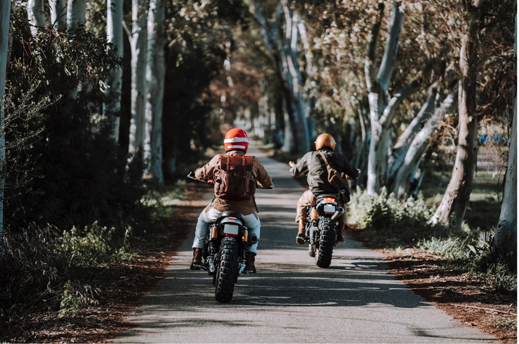 Rutas internacionales imperdibles para motociclistas