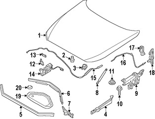 Foto de Panel de Cap� Original para BMW 228i BMW M235i BMW 228i xDrive BMW M235i xDrive BMW Marca BMW N�mero de Parte 41007373899