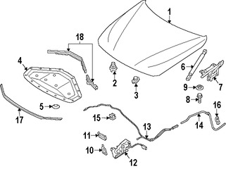 Foto de Aislamiento del capo Original para BMW Marca BMW N�mero de Parte 51487221993