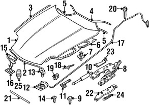 Foto de Aislamiento del capo Original para BMW Z8 2000 2001 2002 2003 Marca BMW N�mero de Parte 51488234456