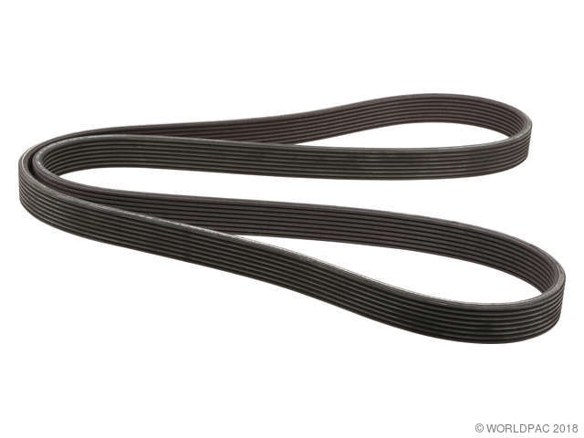 Foto de Correa de transmisi�n accesoria para BMW 740i BMW 740li BMW X6 Marca Contitech N�mero de Parte W0133-1926814