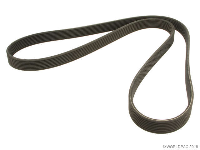 Foto de Correa de transmisi�n accesoria para BMW 740i BMW 740li BMW X6 Marca Contitech N�mero de Parte W0133-1976221