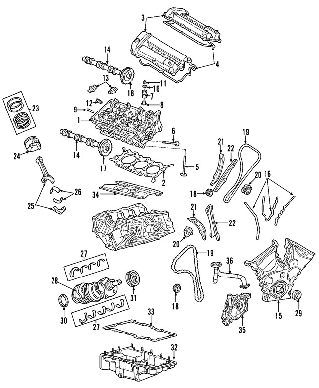 Foto de Vlvula de Escape del Motor Original para Mercury Ford Lincoln Marca FORD Nmero de Parte 7L8Z6505A