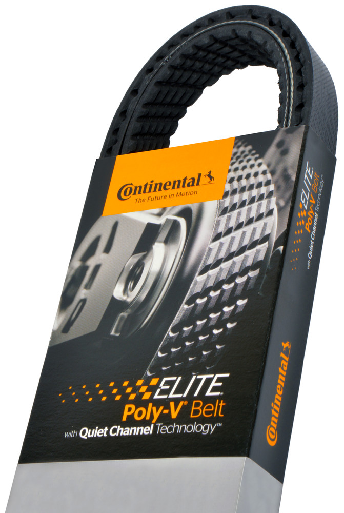 Banda Serpentina Para Toyota RAV4 2005