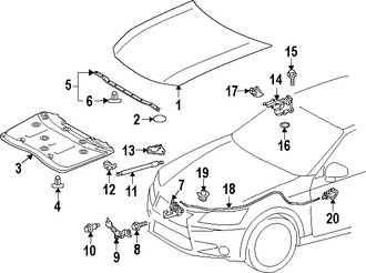 Foto de Panel de Cap� Original para Lexus GS350 Lexus GS450h Lexus GS200t Marca LEXUS N�mero de Parte 5330130491