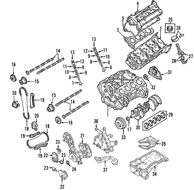 Foto de Sello de Vstago de Aceite de Vlvula del Motor Original para Nissan Infiniti Marca NISSAN Nmero de Parte 1320784A00