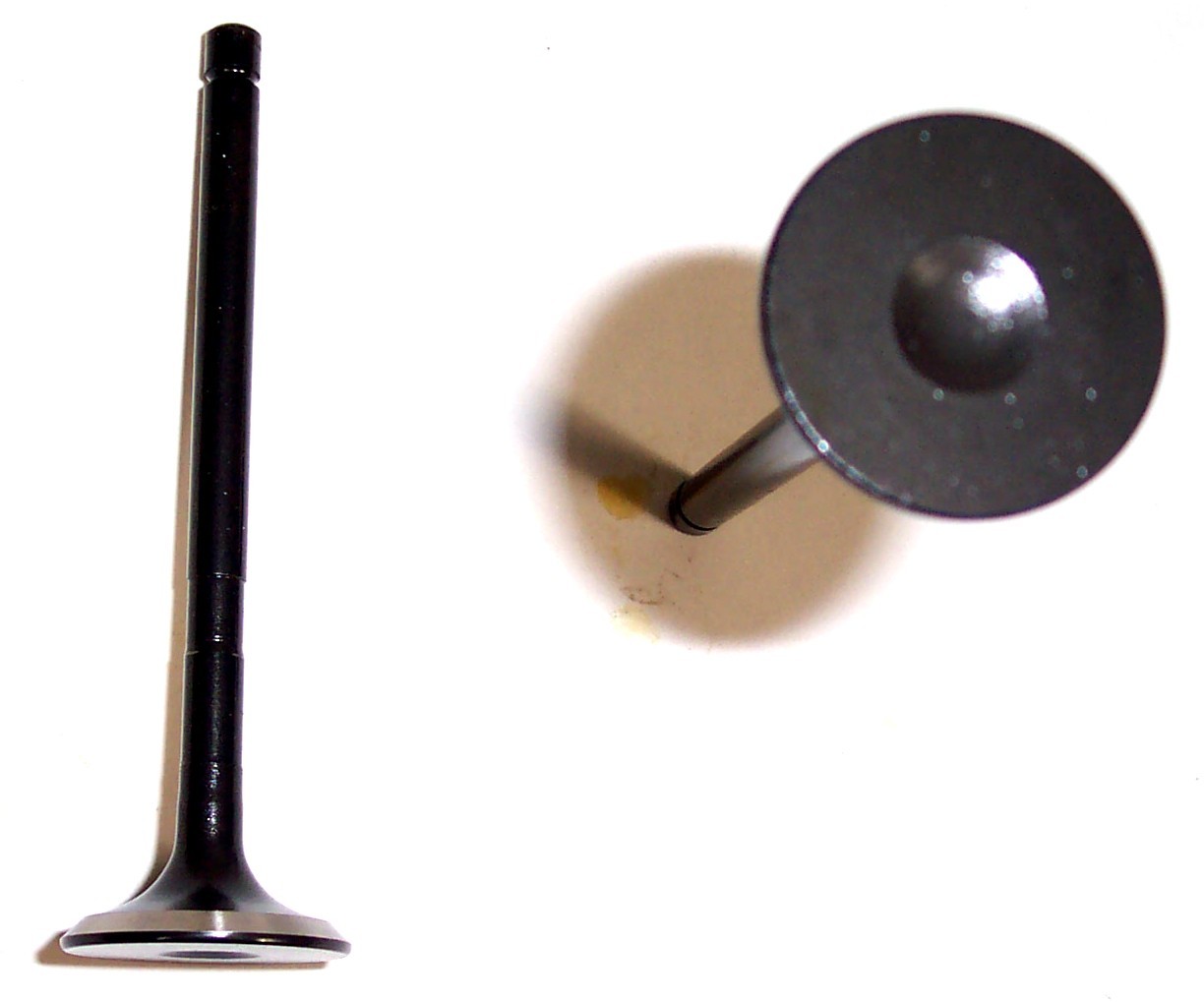 Foto de V�lvula de Escape del Motor para Ford Escape 2002 Marca DNJ ENGINE COMPONENTS N�mero de Parte EV431
