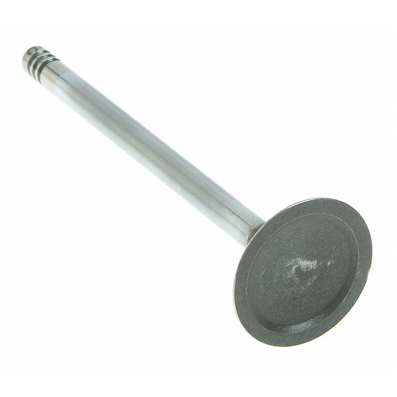 Foto de V�lvula de Escape del Motor para Ford Focus 2001 Marca SEALED POWER N�mero de Parte V-4655